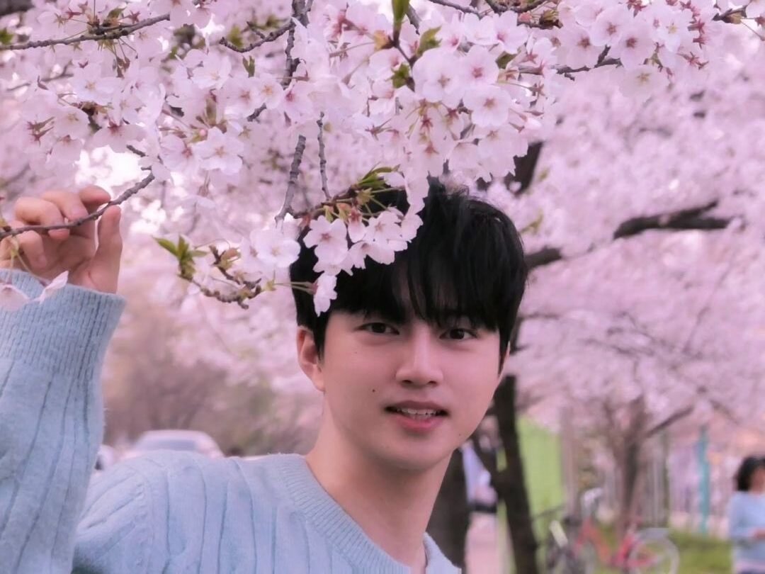 23f32556 33c3 48af be00 dade8c936e6f